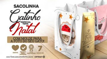 Sacolinha Lembrancinha Gatinhos Especial de Natal Grátis Sacolinha Lembrancinha Gatinhos Especial de Natal