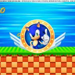 Saia de bolo Sonic 4