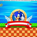 Saia de bolo Sonic 5