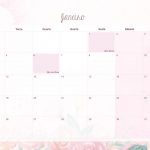 Calendario Mensal 2021 para Imprimir Corujinha janeiro