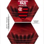 Caixa Explosao Times de Futebol Flamengo Parte 1