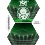 Caixa Explosao Times de Futebol Palmeiras Parte 1