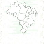 Planner Cactos para Imprimir Minhas Viagens Brasil