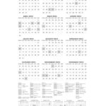 Planner Margaridas Calendario 2023