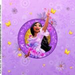 Adesivo Caixa Acrilica Isabela Encanto Disney