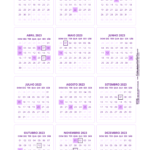 Mini Calendario 2023 roxo