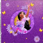 Molde Caixa Acrilica Isabela Encanto Disney
