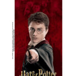 Alca Harry Potter