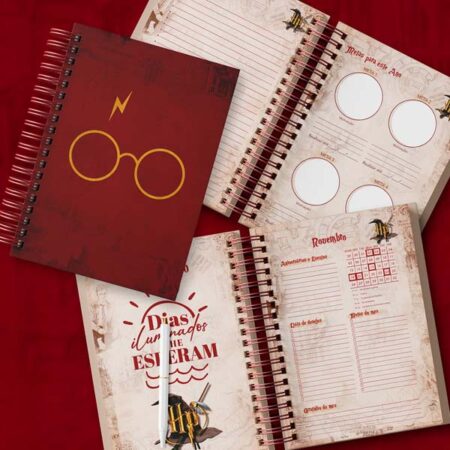Agenda Harry Potter Poudlard 2023/2024 - Neuf - Pour Fans De Harry Potter