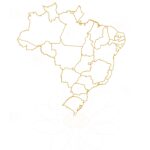 Planner Margaridas 2023 Minhas Viagens Brasil