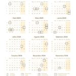 Planner Margaridas 23 Calendario 2024