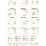 Planner Praia Calendario 2025