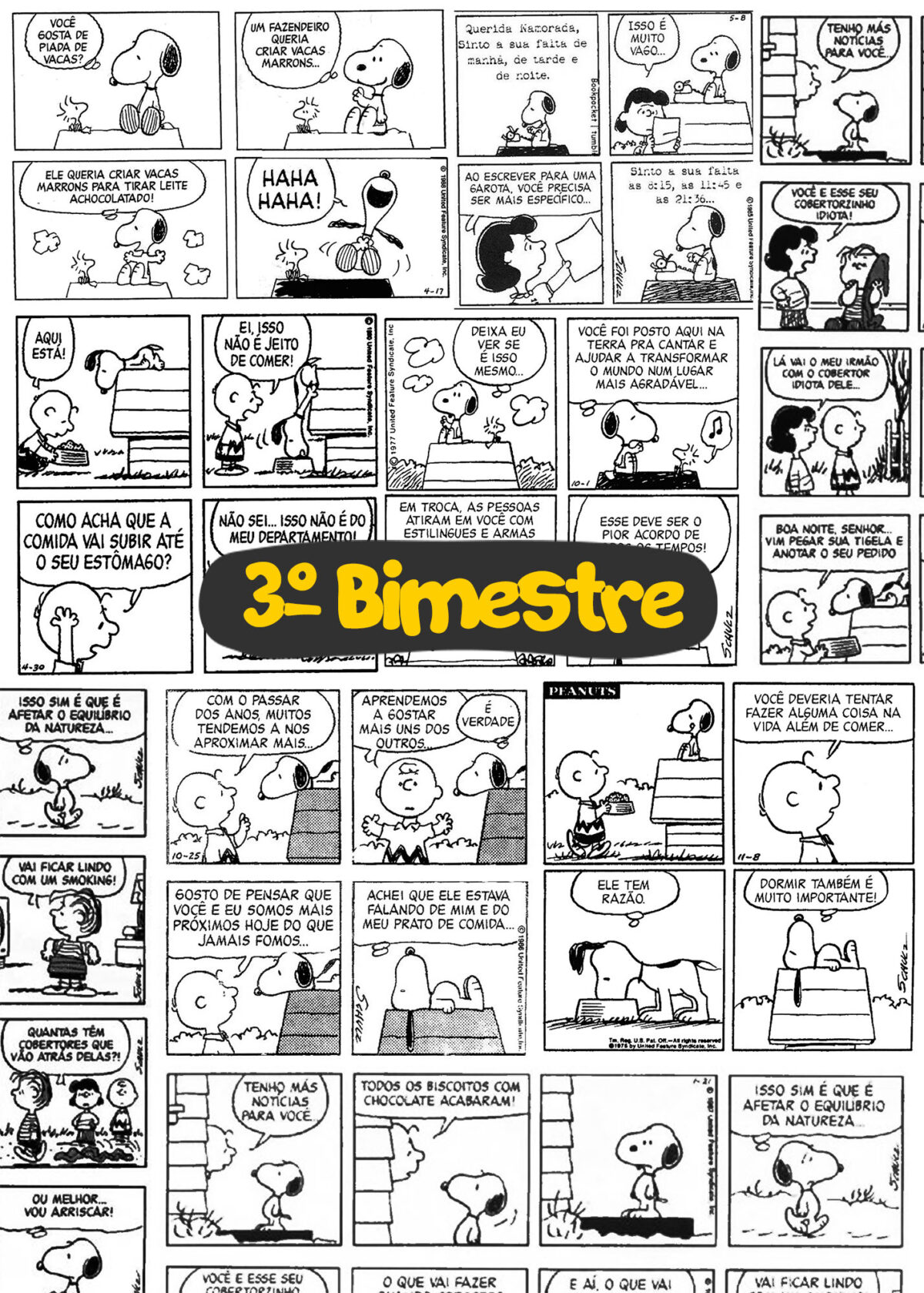 Caderno Planejamento Professor Snoopy Bimestre Fazendo A Nossa Festa