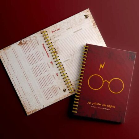 Planner Harry Potter Fazendo A Nossa Festa