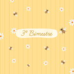 Planner Professor 2023 Margaridas 3 Bimestre