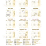 Planner Professor 2023 Margaridas Calendario Professor 2025