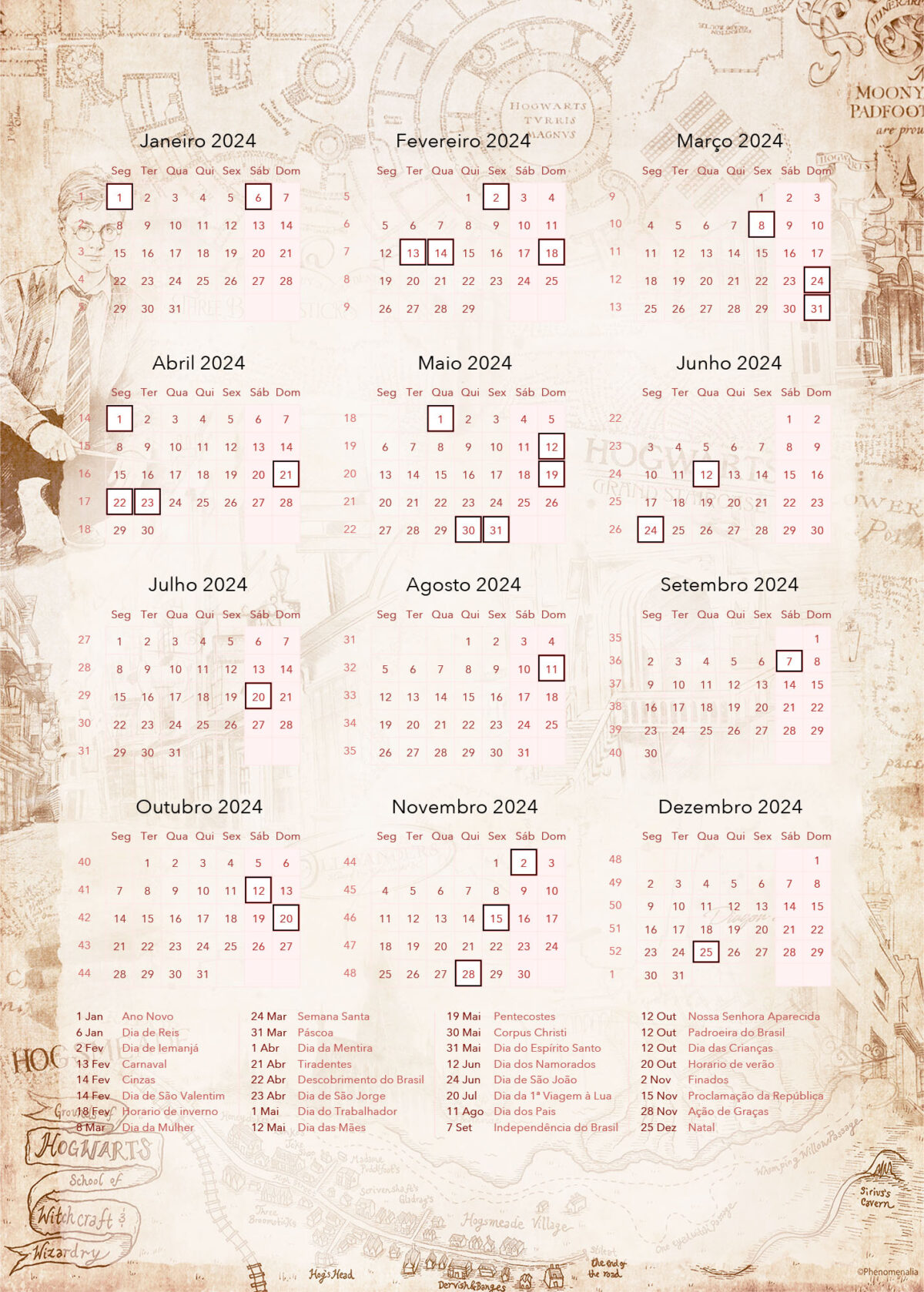 Planner Professor Harry Potter Calendario Professor 2024 Fazendo a
