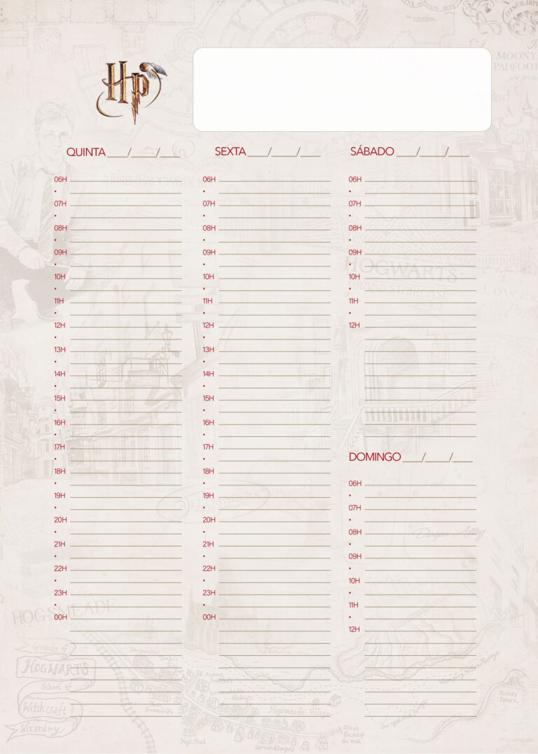 Agenda Folha 2 Planner 2024 Harry Potter Fazendo a Nossa Festa