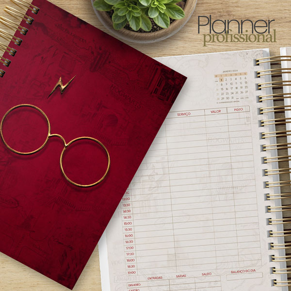 Profissional Planner 2024 Harry Potter