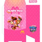 Caixa MC Kids Feliz Sky Everest Patrulha Canina Frente v3