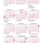 Calendario 2025 A4 Rosa