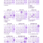 Calendario 2025 A4 Roxo