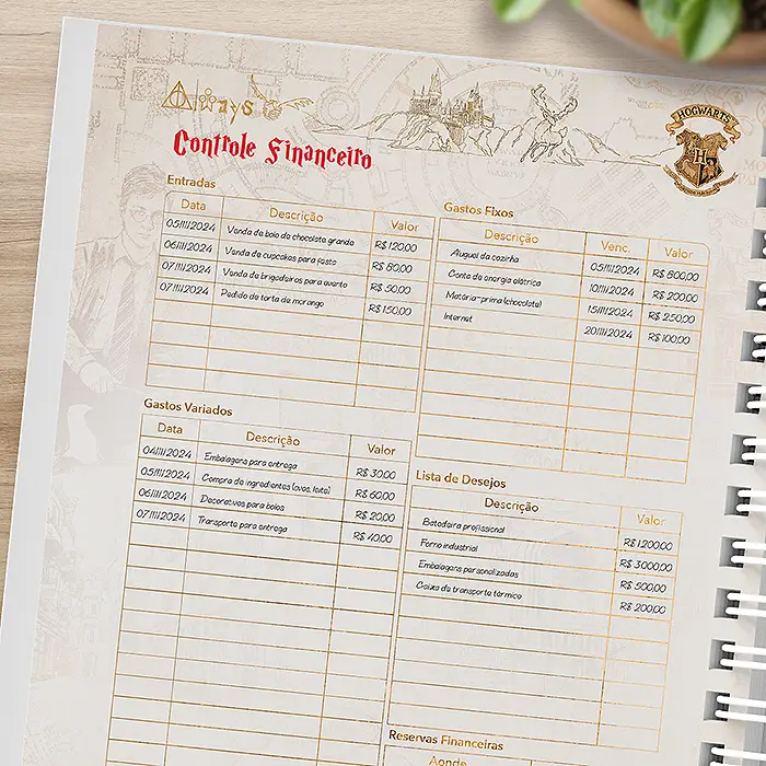 Controle Financeiro de Exemplo Planner Harry Potter