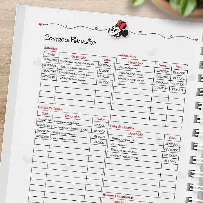 Controle Financeiro de Exemplo Planner Minnie