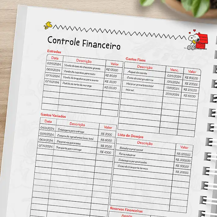 Controle Financeiro de Exemplo Planner Snoopy