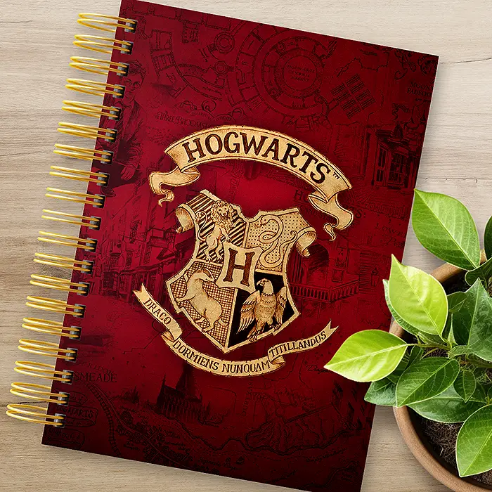 Detalhes da Capa Planner Harry Potter