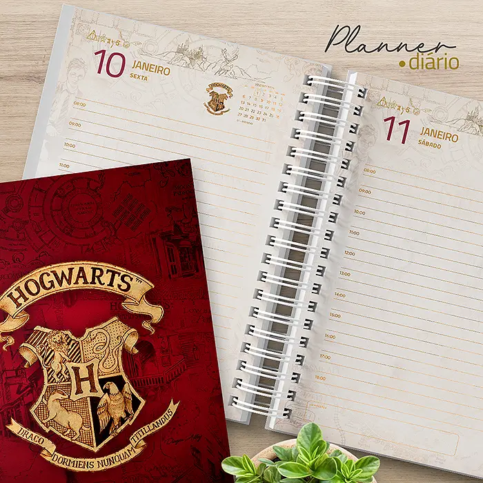 Diario Planner Harry Potter