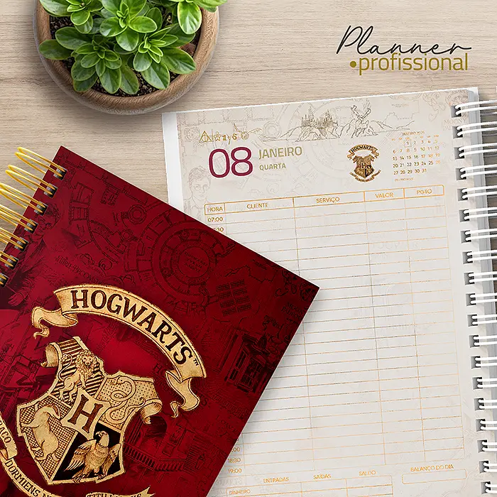 Profissional Planner Harry Potter