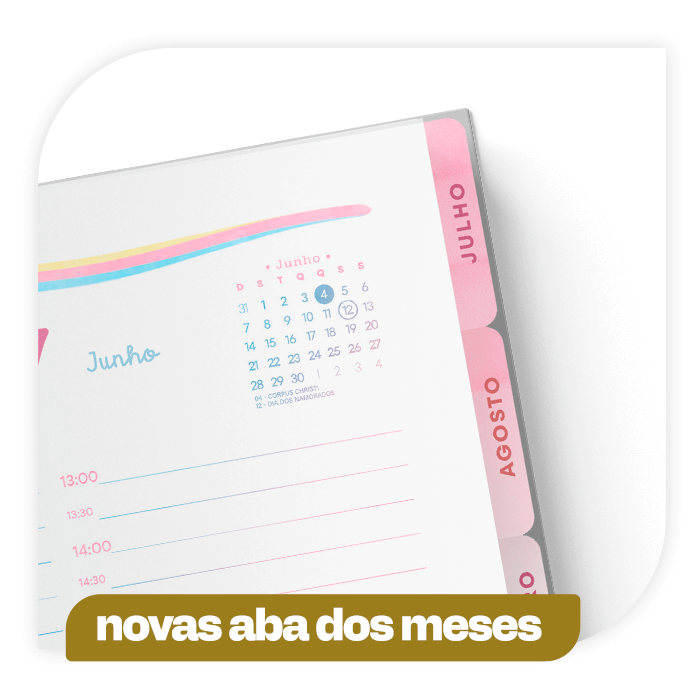 Aba Meses Planner Colorido 2026 Aba Meses Planner Colorido 2026