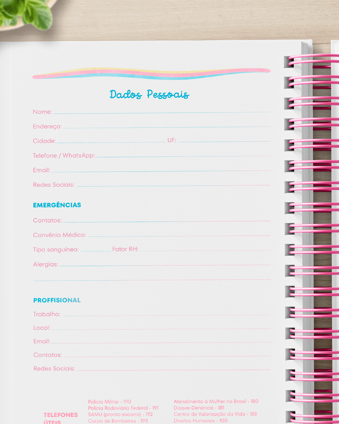 Dados Pessoais Planner Colorido 2026 Dados Pessoais Planner Colorido 2026