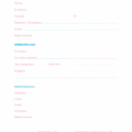 Dados Pessoais e Dados Profissionais Planner Colorido 2026