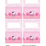 Plaquinha de Comida Dupla Hello Kitty