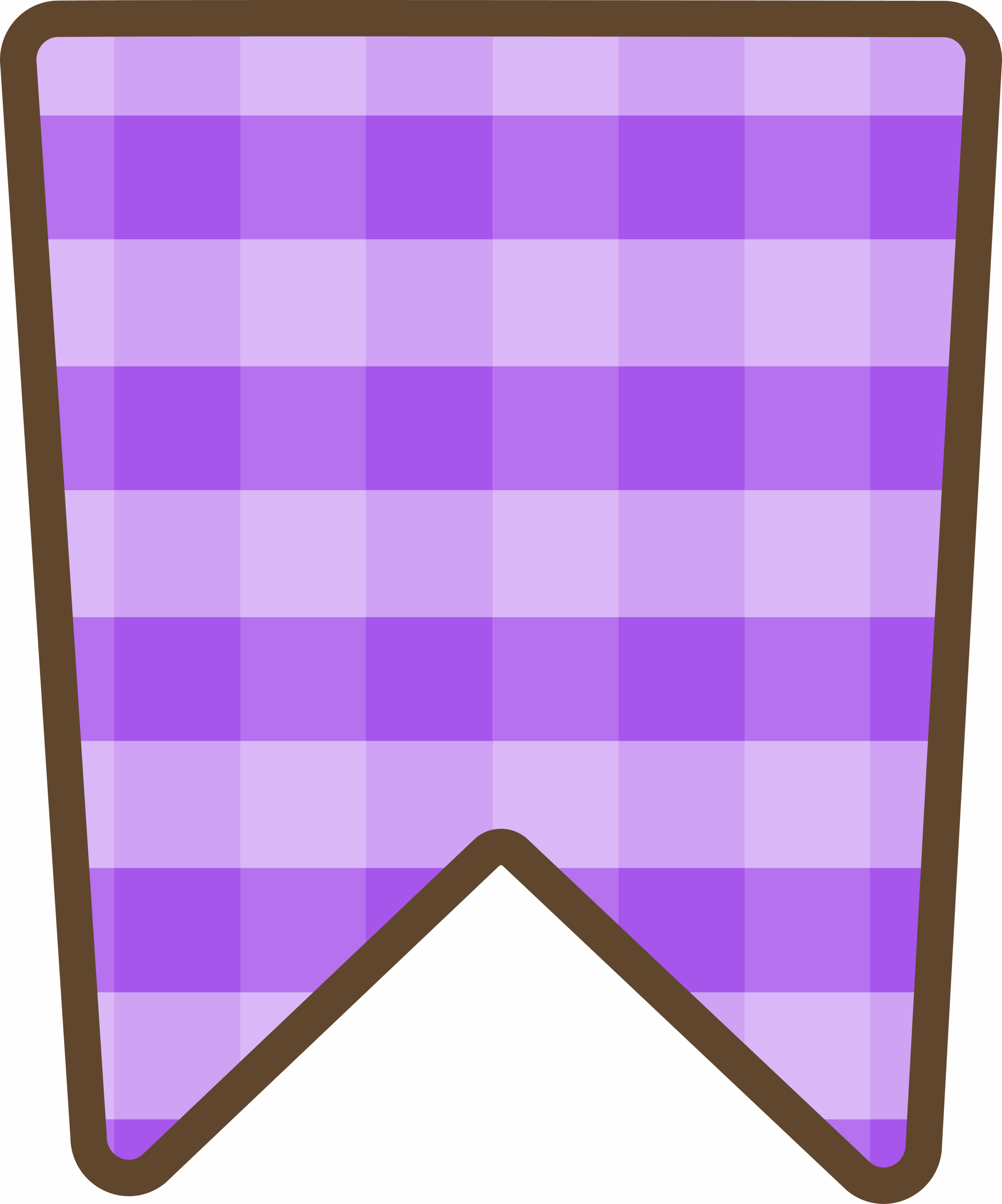 Bandeirinha Xadrez 3