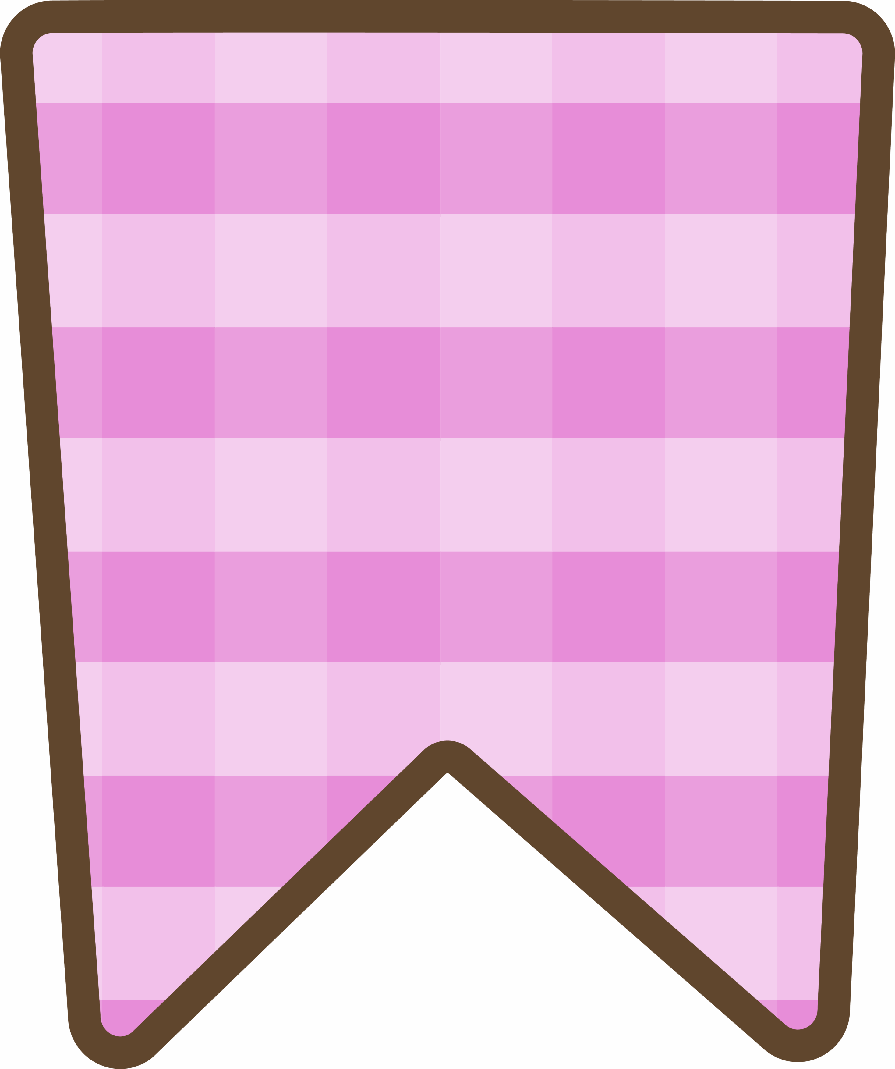 Bandeirinha Xadrez 4