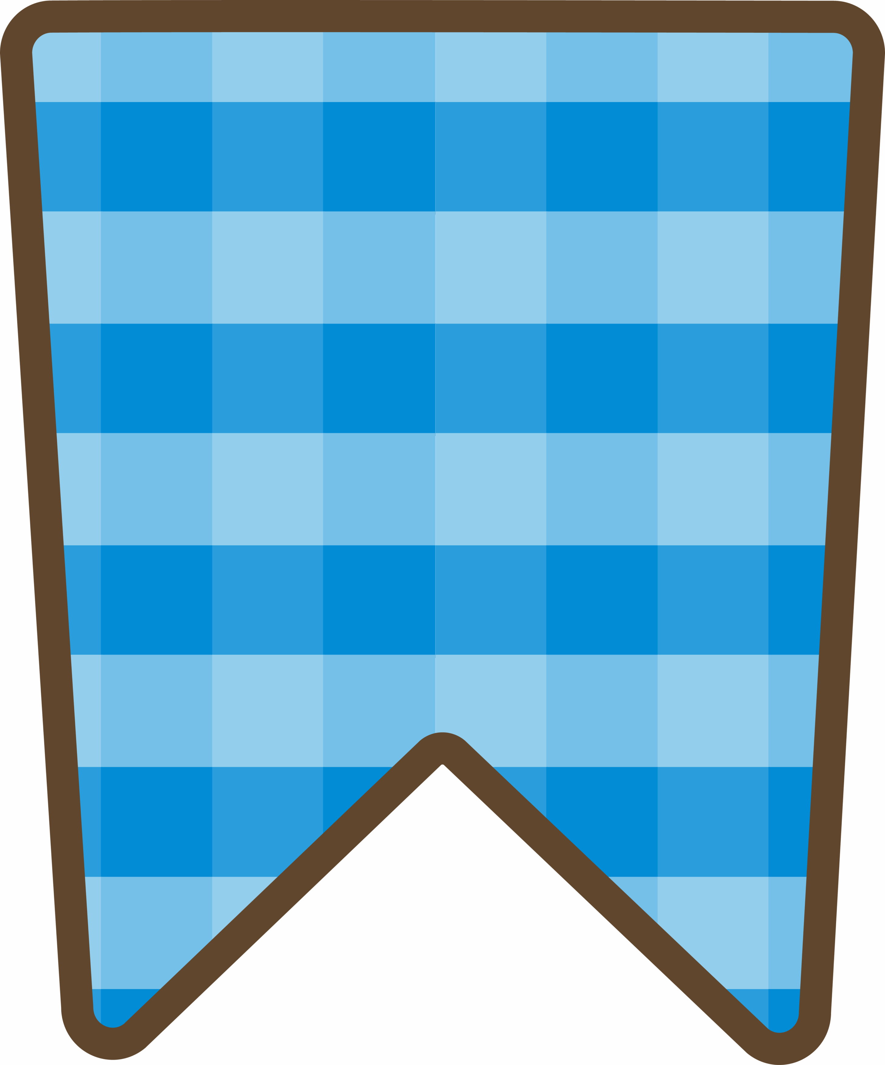 Bandeirinha Xadrez 5