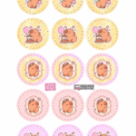 Toppers Redondos Capivara fofa