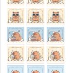 Adesivo Caixinha Acrilico Personalizados Capivara Menino