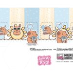 Caixa Sextavada Personalizados Capivara Menino