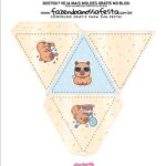 Caixa Triangulo Personalizados Capivara Menino