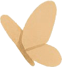 Camada 4a18