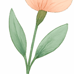 Flores Dia dos Professores 13