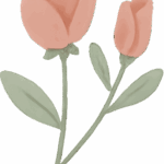Flores Dia dos Professores 4