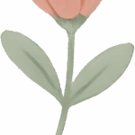 Flores Dia dos Professores 8