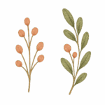 Natal Crista Elemento avulso 4