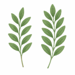 Natal Crista Elemento avulso 9