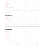 Planner Hello Kitty Dados Pessoais e Dados Profissionais